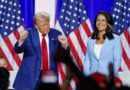 National Border Patrol Council gives endorsement to Tulsi Gabbard for DNI nomination