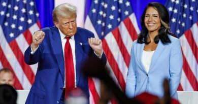 National Border Patrol Council gives endorsement to Tulsi Gabbard for DNI nomination