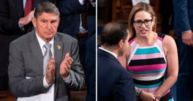 Senate Democrats livid with exiting Sinema, Manchin: 'Pathetic'