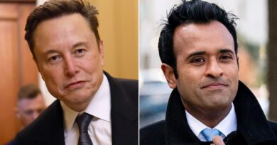 Musk and Ramaswamy ignite MAGA war over skilled immigration and American ‘mediocrity’