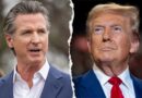 Newsom’s team reportedly considering plan to help illegal immigrants ahead of Trump admin