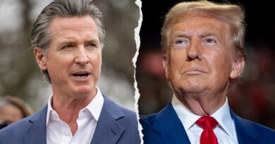 Newsom’s team reportedly considering plan to help illegal immigrants ahead of Trump admin