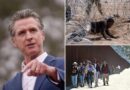 Calif. Gov. Newsom mulls ways to help illegal migrants dodge Trump’s mass deportation 