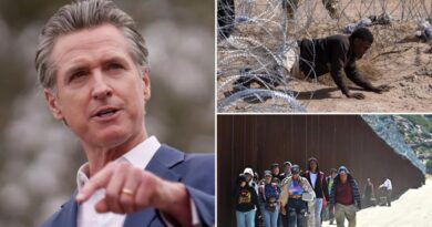 Calif. Gov. Newsom mulls ways to help illegal migrants dodge Trump’s mass deportation 