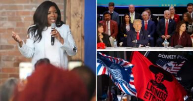 Dem Rep. Jasmine Crockett suggests ‘slave mentality’ behind Hispanic Trump voters — insists Harris ran ‘flawless’ campaign