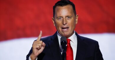 Trump taps Richard Grenell as presidential envoy for special missions, Edward S. Walsh as Ireland ambassador