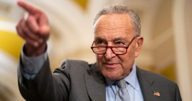 Schumer says Senate will vote on Social Security changes 