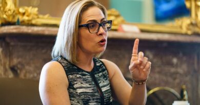 Sinema reflects on criticism in exit interview: 'Don't give a s‑‑‑'