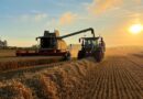 How climate change and red tape could be jeopardising UK access to affordable food | Money News