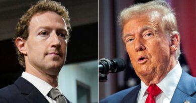 Zuckerberg shows his true pragmatic colours by changing Meta ahead of Trump 2.0 | Science, Climate & Tech News