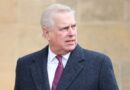 Identifying Chinese spy with alleged links to Prince Andrew ‘matter for courts’, says minister | Politics News