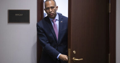 Democrats dodge a debt ceiling deal