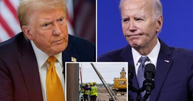 Donald Trump demands judge halt Biden’s alleged ‘fire sale’ of border wall materials