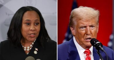 Georgia appeals court removes Fani Willis from Trump 2020 election case