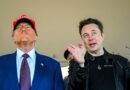 Musk and Trump are viewed roughly the same by Americans, an AP-NORC poll finds