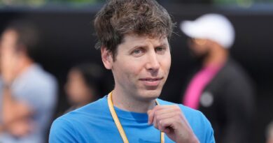 OpenAI’s Sam Altman ‘not that worried’ about rival Elon Musk’s influence in the Trump administration