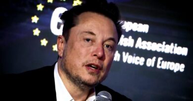 Musk sets sights on European politics