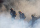 Firefighters Protect Mt. Wilson Observatory From Eaton Fire in L.A.