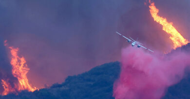 Is the Pink Fire Retardant That Planes Are Dropping on the California Fires Safe?