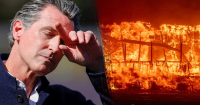 Gov. Newsom cut fire budget, Cal Fire funding by $100M months before lethal California fires