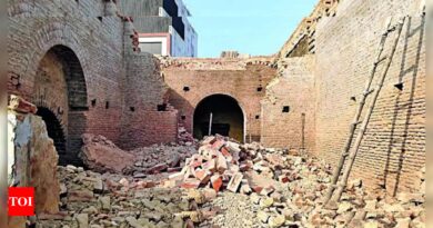 Agra’s 1 7th-Century Mughal-era haveli razed by ‘builder’ | India News