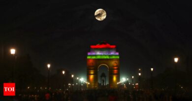 Rename India Gate to Bharat Mata Dwar: BJP leader appeals to PM Modi | India News