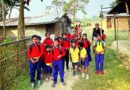 Forest guards escort kids to school as tigers prowl Assam tea garden | India News