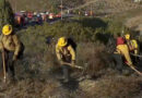 3 Small Fires Break Out in San Diego Area, Forcing Evacuations