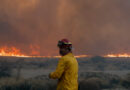 In California Fires, Trump Blames Newsom for Withholding Water. Experts Disagree.