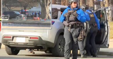 Police arrest man ‘driving along the sidewalk’ near US Capitol