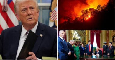 Trump brings wildfire relief into talks on border, energy and tax bill