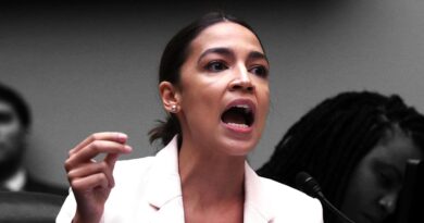 AOC launches series of explosive Instagram rants on eve of inauguration