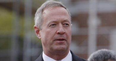 O'Malley touts endorsements of current, former Congressional Black Caucus members in DNC chair bid