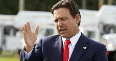 DeSantis rebuffs idea he could take Rubio's Senate spot: 'Absolutely not'