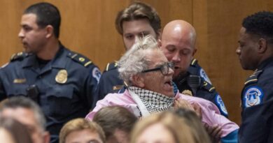 Protesters interrupt Senate confirmation hearings