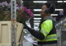 Dutch cut flower industry in hot water over pesticides