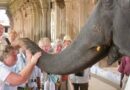 Gandhimathi, elephant of Tirunelveli Nellaiappar temple passes away