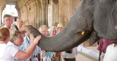 Gandhimathi, elephant of Tirunelveli Nellaiappar temple passes away