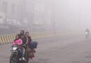 Dense fog at many places in Punjab, Haryana; no respite from cold conditions