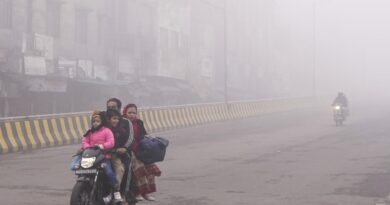 Dense fog at many places in Punjab, Haryana; no respite from cold conditions