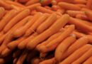 Carrots May Be Key to Unlocking Microbiome’s Diabetes Defense System