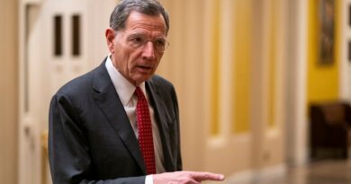 Barrasso predicts Trump will issue a 'blizzard of executive orders' once inaugurated