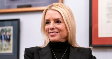 Durbin pushes for details on Bondi's past lobbying work