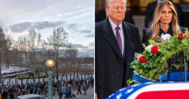 Capitol Police arrest man who tried to set his car on fire as Trump paid respects to Jimmy Carter and met with GOP senators