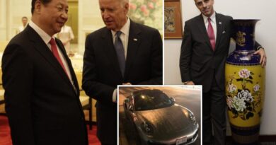 ‘Biden brand’ raked in $30m for Joe and family: Comer book