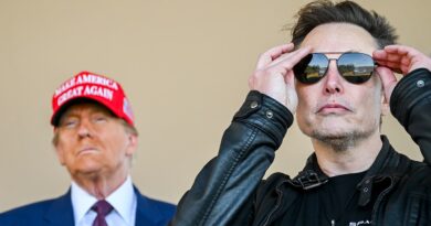 Musk renews harsh rebuke of Dems who rejected deporting sex offenders: vote out ‘every one’