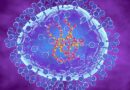 What is the HMPV virus in China? The human metapneumovirus and its symptoms, explained.