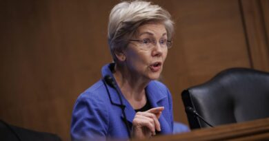 Billy Long, Trump’s pick to lead IRS, pushed a tax credit that raises red flags, Sen. Warren says