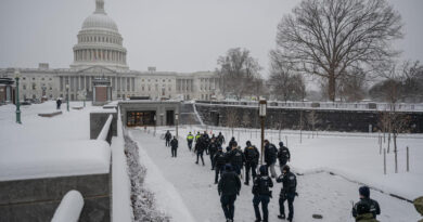 Capitol Police arrest man with machete during Carter visitation and before Trump meeting