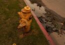 Fire hydrants ran dry due extreme demand in Pacific Palisades, officials say